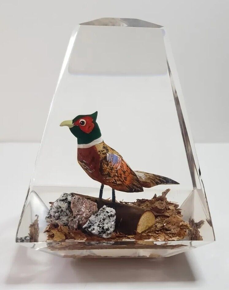 Rico Hand Carved Wood Pheasant Duck Bird 5" Lucite Paperweight Unique Canada
