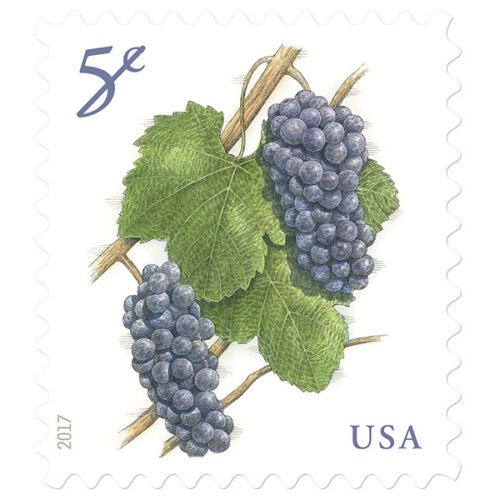 Usps New Grapes Pane Of 20