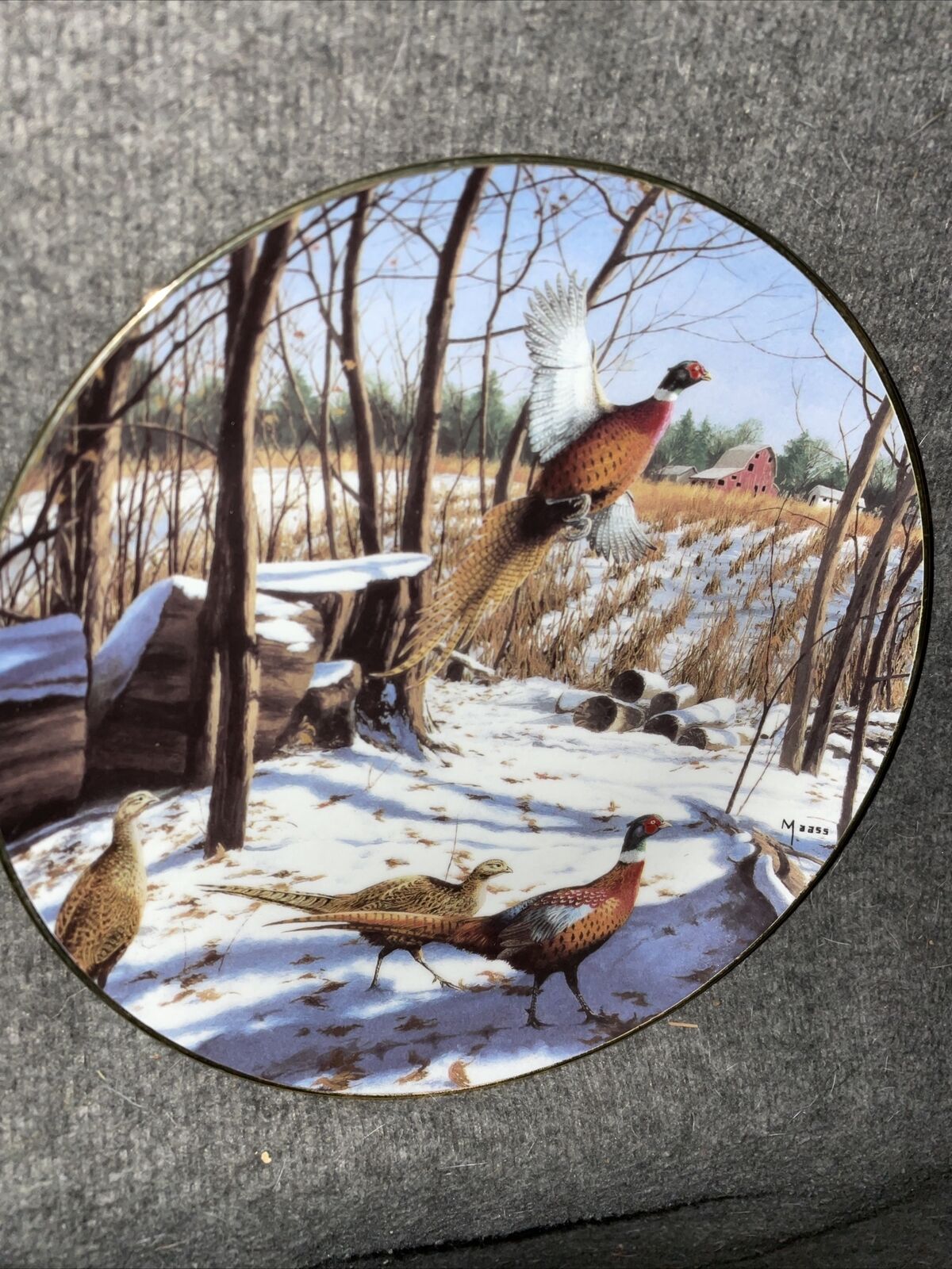 Winter Rainbow David Maass Pheasant Collector Plate Limited Edition Bird❤️ct39j2