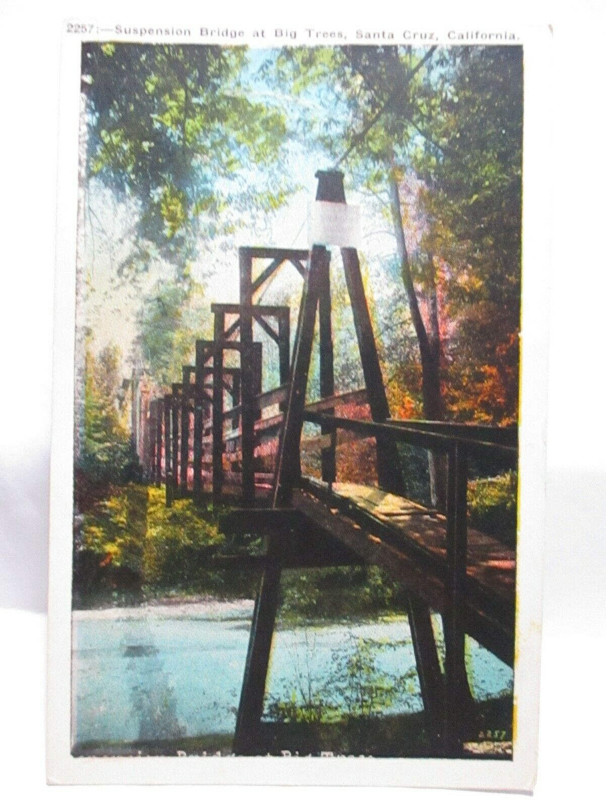 1920s Postcard " Suspension Bridge At Big Trees, Santa Cruz Cal " Unused